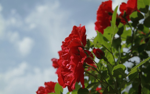 524153 (a): :2560x1600